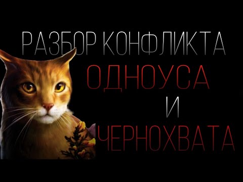 Видео: Разбор конфликта Одноуса и Чернохвата|Коты-воители|ThesameSouth|
