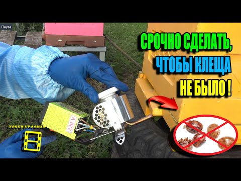 Видео: БЕЗОПАСНАЯ, НО ЭФФЕКТИВНАЯ БОРЬБА С КЛЕЩОМ ВАРРОА ЛЕТОМ. ПЧЕЛОВОДСТВО 25-26