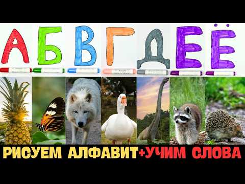 Видео: Рисуем алфавит ✏️ Учим буквы 📖 Первые слова 👶 Для детей