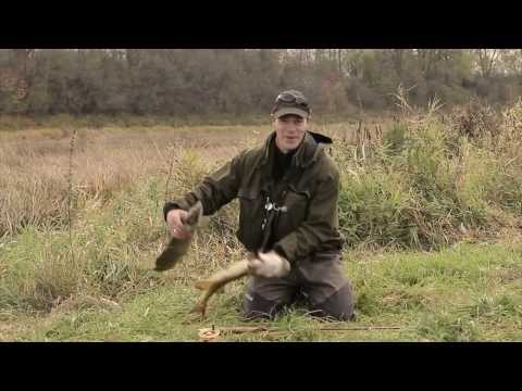 Видео: ловля щуки нахлыстом full HD