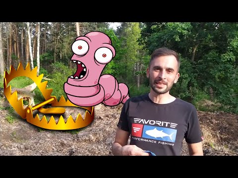 Видео: Добыть червя на весь сезон рыбалки за 2 часа. ПЛАН КАПКАН.