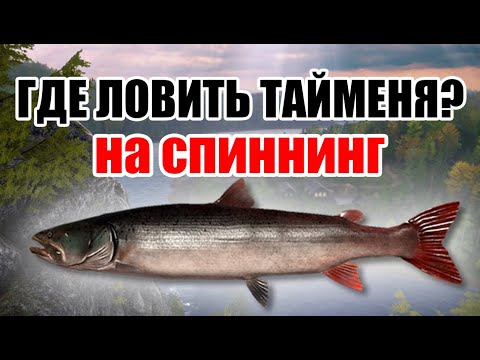 Видео: РР4 СТРИМ • ЛОВИМ РАЗМОТЫ НА НОРВЕЖСКОМ МОРЕ В ТРОЛЛИНГ •  РУССКАЯ РЫБАЛКА 4