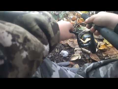 Видео: Рыбалка на карася осенью (29.09.25)