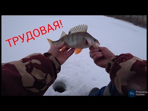 Видео: Рыбалка в Темиртау.