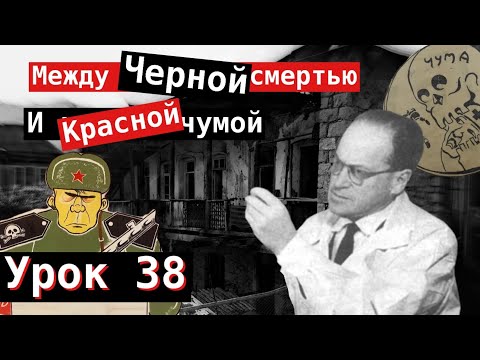 Видео: Урок 38. Между Черной смертью и Красной чумой