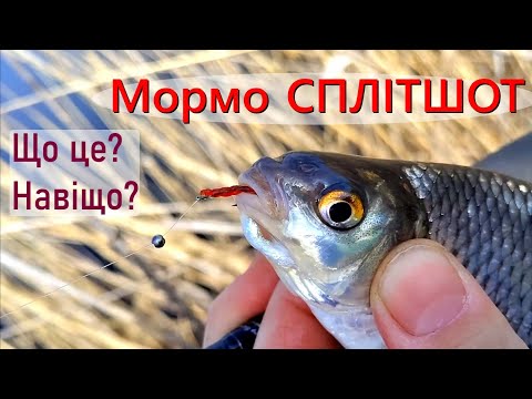 Видео: Мормо сплітшот