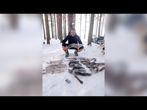 Видео: Ивинский разлив. Рыбалка 2023