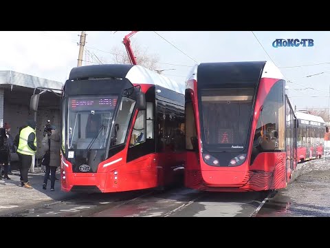 Видео: Новотроицких «Львят» выпустили из клетки