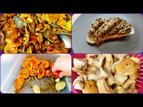 Видео: 💥💯Вкусняшки  из грибов...Солим... Тушим.... Замораживаем...