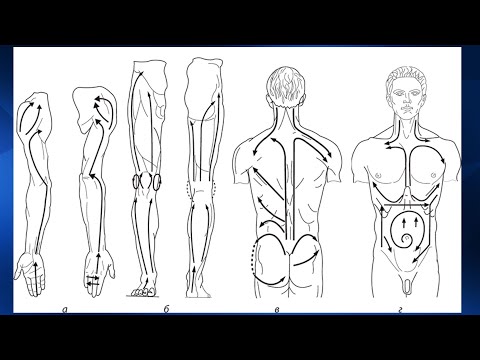 Видео: 1.20 Массаж отдельных зон. Обзор | Классический массаж. Цикл 1