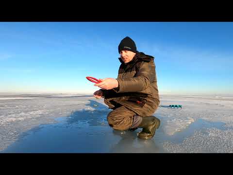 Видео: Чудское озеро, рыбалка одного дня. Захват для рыбы.