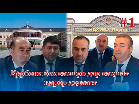 Видео: Қурбони бех Вахшро дар ваҳшат қарор дода аст