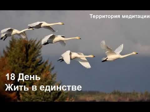 Видео: 18 День Медитация Жить в единстве