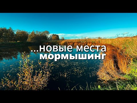 Видео: Новые неизведанные мной места! Мормышинг в Пушкине #мормышинг #nanojig #рыбалка #красивыелокации