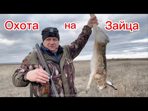 Видео: Охота на зайца  #чернотроп #ружьё беттинсоли  #дробь 0 #скрадок на гуся