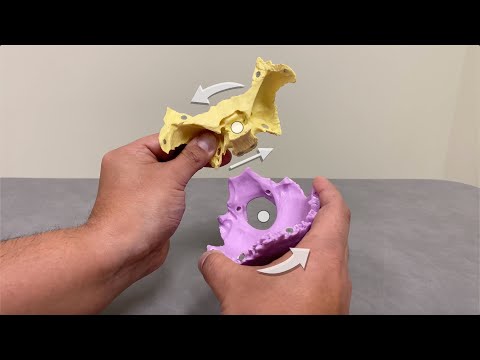 Видео: OMT: Диагностика OCMM, часть 3 — Паттерны черепной деформации (движения, оси и тени рук)