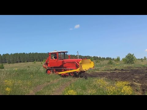 Видео: ДТ-75 Ровняем полевые дороги.