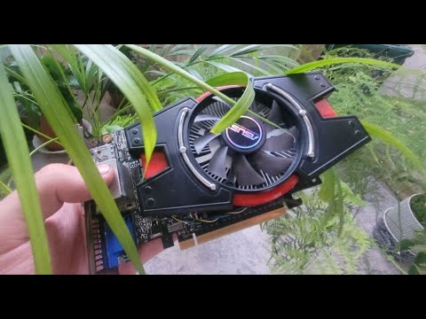 Видео: GT640 на что способна в играх