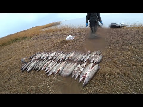 Видео: Күзгі шортан аулау. Жор щуки! Рыбалка Казахстан 2024. Рыбалка Астана 2024