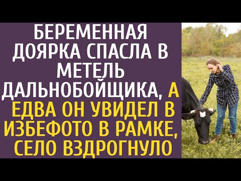 Видео: Беременная доярка спасла в метель дальнобойщика… Едва он увидел в избе фото в рамке, село вздрогнуло