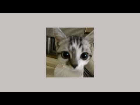 Видео: 💝speed up плейлист рандомных песен!💝