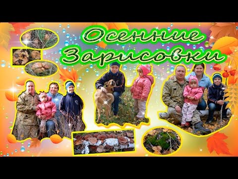 Видео: Осенние зарисовки