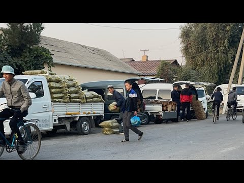 Видео: САРИҚ САБЗИ 5.000 сум  Олтиариқ Эскиараб жума бозори