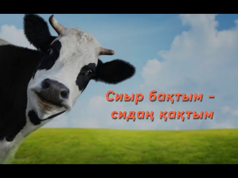 Видео: Сиыр еті. Математикалық сауаттылық. Регата. 2024