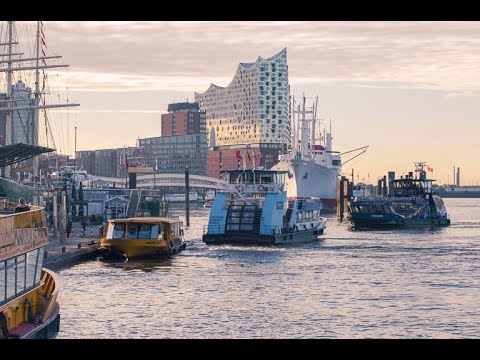 Видео: Ночная Рыбалка на Эльбе. Гамбург. Angel Ausflug nach Hamburg