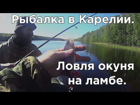Видео: Рыбалка в Карелии.  Ловля окуня на ламбе. #капитанандрейфёдоров
