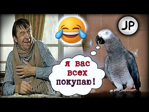 Видео: ✅ ГОВОРЯЩИЙ ПОПУГАЙ РАССУЖДАЕТ О ЖИЗНИ ГОЛОСОМ ВИЦИНА 🐦🤗 ЖАКО ПЕТРУНЯ