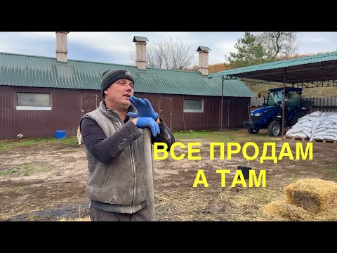 Видео: Все продати А землю і трактора купити , та відпочивати 😴 а зимою в Бариги йти а що робити…