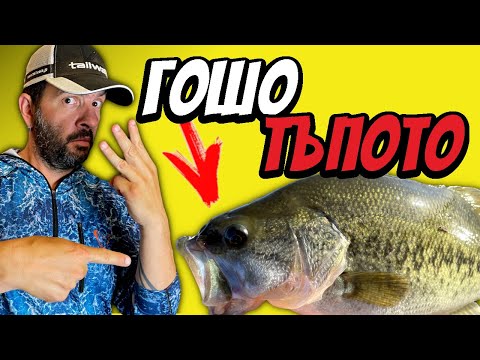 Видео: Хванах го 3 ПЪТИ за ЕДИН ЧАС!!! Риболов на БЛЕК БАС