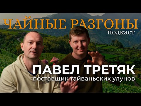 Видео: Про тайваньские улуны — главный поставщик тайваньского чая | Чайные Разгоны №3