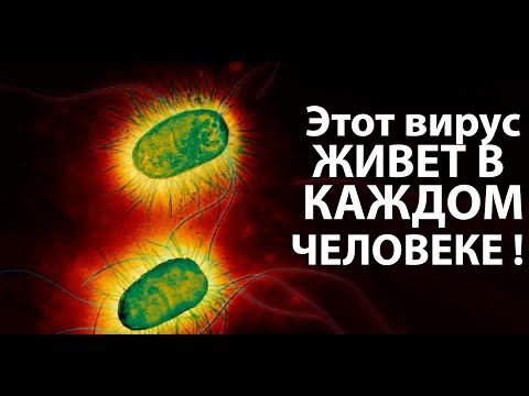 Видео: Внимание ! Этот вирус живет в каждом человеке ! ( Plague Inc: Evolved )