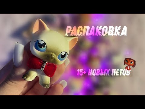 Видео: РАСПАКОВКА LPS | АВИТО АЛИЭКСПРЕСС ОЗОН | НОРМ ПЕТЫ? #lpstubeжив