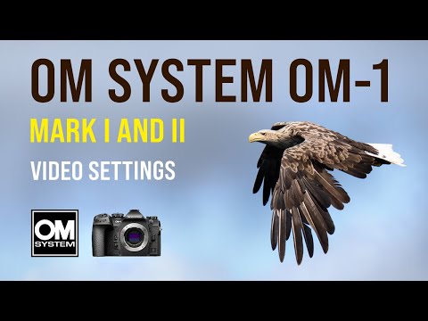 Видео: Система OM OM-1: настройки видео и как редактировать