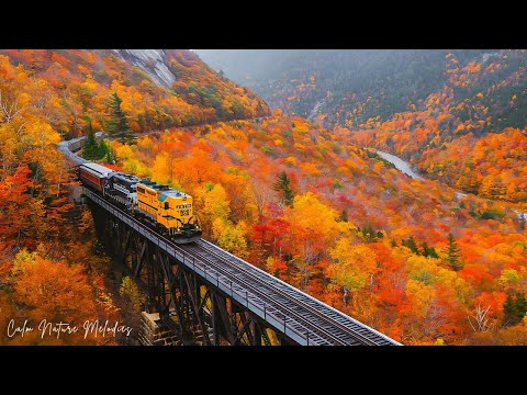 Видео: Красивая осенняя музыка 🍁 Спокойная музыка, «Октябрьское золотое осеннее утро, рассвет»