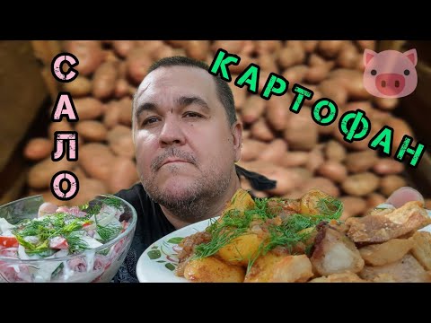 Видео: Обжор, мукбанг картошка со шкварками и салат