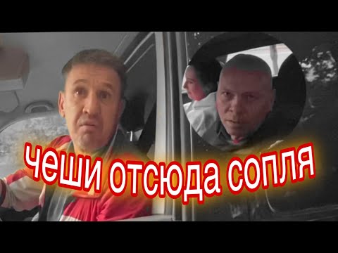 Видео: ДПС в шоке от увиденного! Осеннее обострение у нарушителей ⛔️🐝