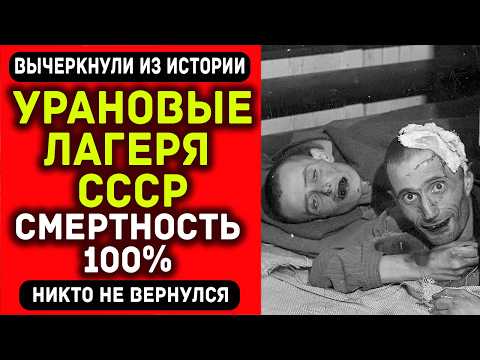 Видео: Распиленные черепа в тайге: страшнее Освенцима, но об этом молчали