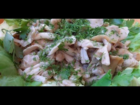 Видео: Георгиев гриб или майская рядовка в рассоле. Calocybe gambosa.