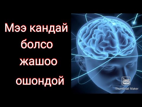 Видео: АУДИО КИТЕП ЦИТАТАЛАР алтын создор жанылыктар кыргызча кино ырлар.