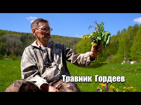 Видео: Травник Гордеев