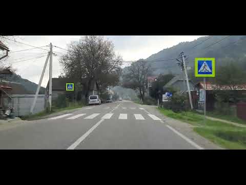 Видео: Кваси‐Великий Бичків