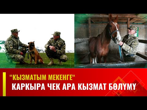 Видео: Каркыра чек ара кызмат бөлүмү // КЫЗМАТЫМ МЕКЕНГЕ