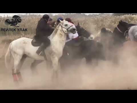 Видео: 2 Часть Лейлек Улак Бишкек шаары