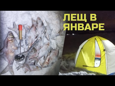Видео: Ловим Леща В Январе!