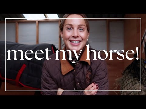 Видео: После месяцев поисков… Знакомьтесь, моя новая лошадь! Наша первая неделя вместе