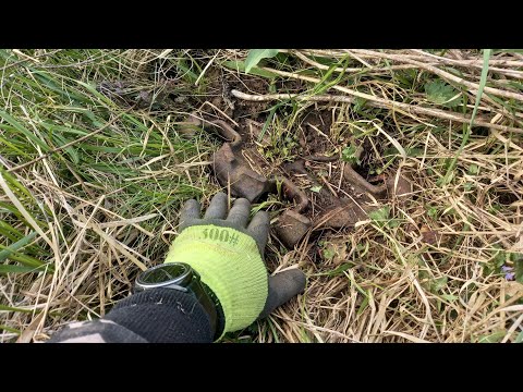 Видео: В металлоКоПе и такое бывает!!!